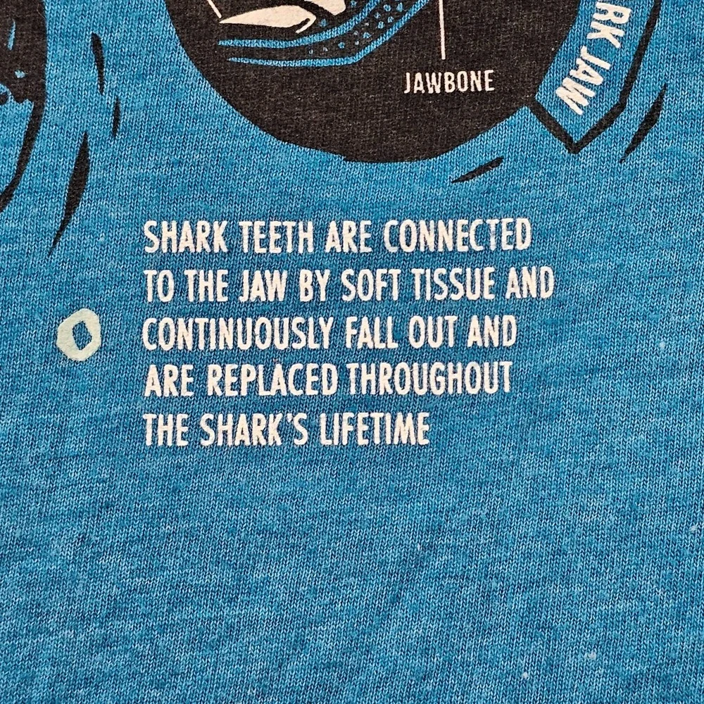 Jawsome Shark Facts Old Navy Blue Short Sleeve Cotton Blend T-Shirt Youth L